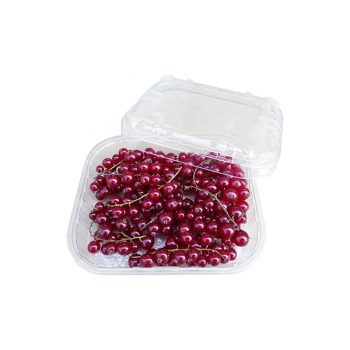 caixa plastico cuvete fruta groselha framboesa mirtilo jose neves embalagens